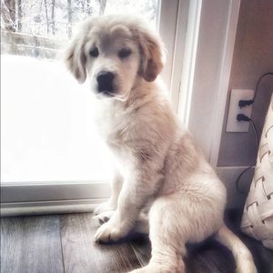 Meet your Posher, Erica